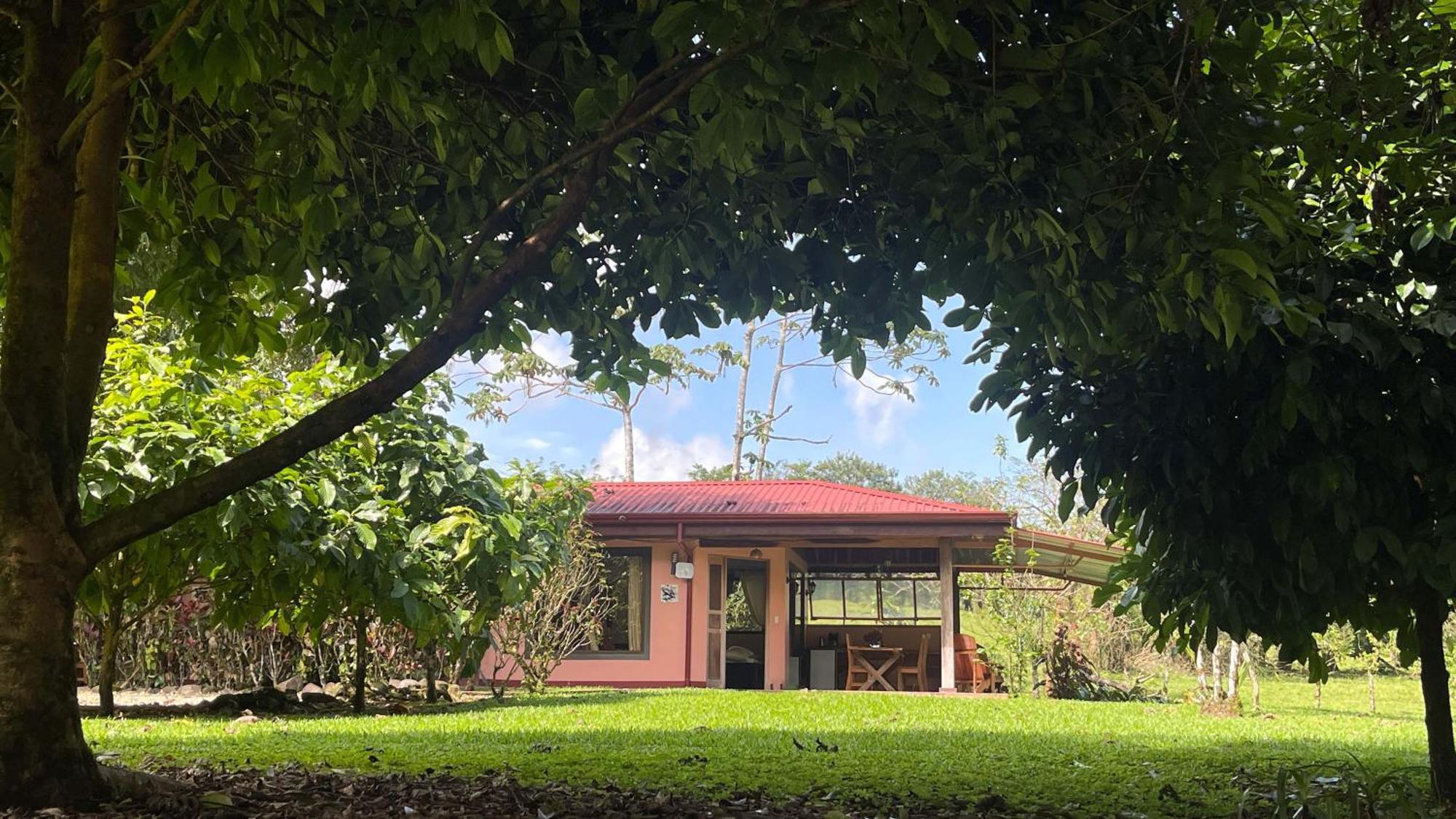 Mei Tai Cacao Lodge Bijagua Exteriör bild