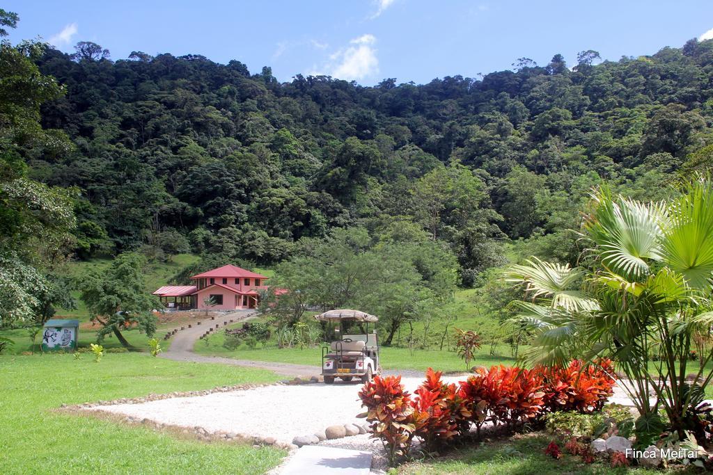 Mei Tai Cacao Lodge Bijagua Exteriör bild