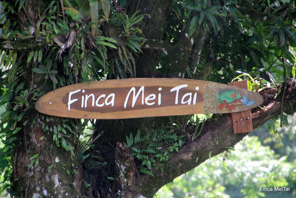 Mei Tai Cacao Lodge Bijagua Exteriör bild