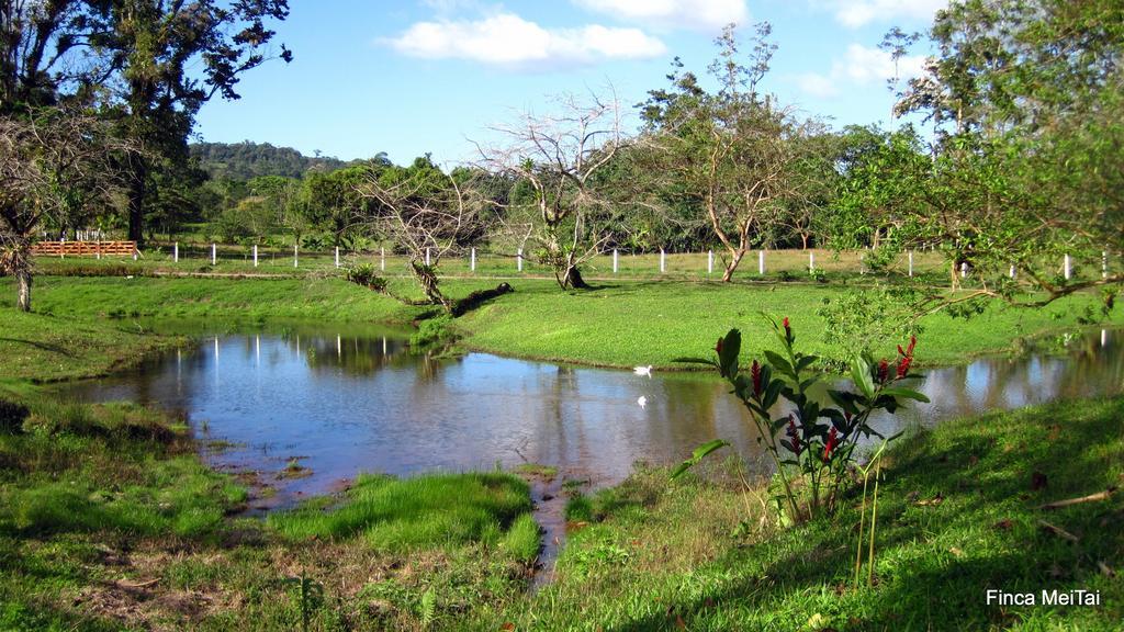 Mei Tai Cacao Lodge Bijagua Exteriör bild