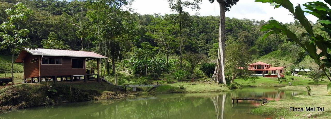 Mei Tai Cacao Lodge Bijagua Exteriör bild