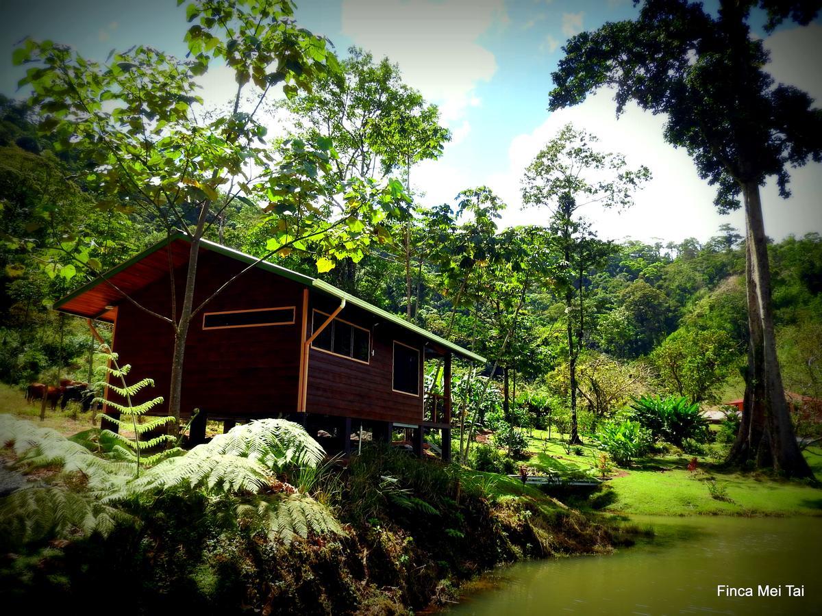 Mei Tai Cacao Lodge Bijagua Exteriör bild