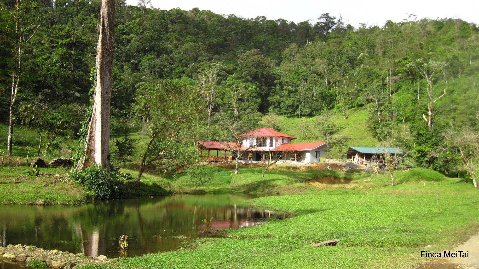 Mei Tai Cacao Lodge Bijagua Exteriör bild
