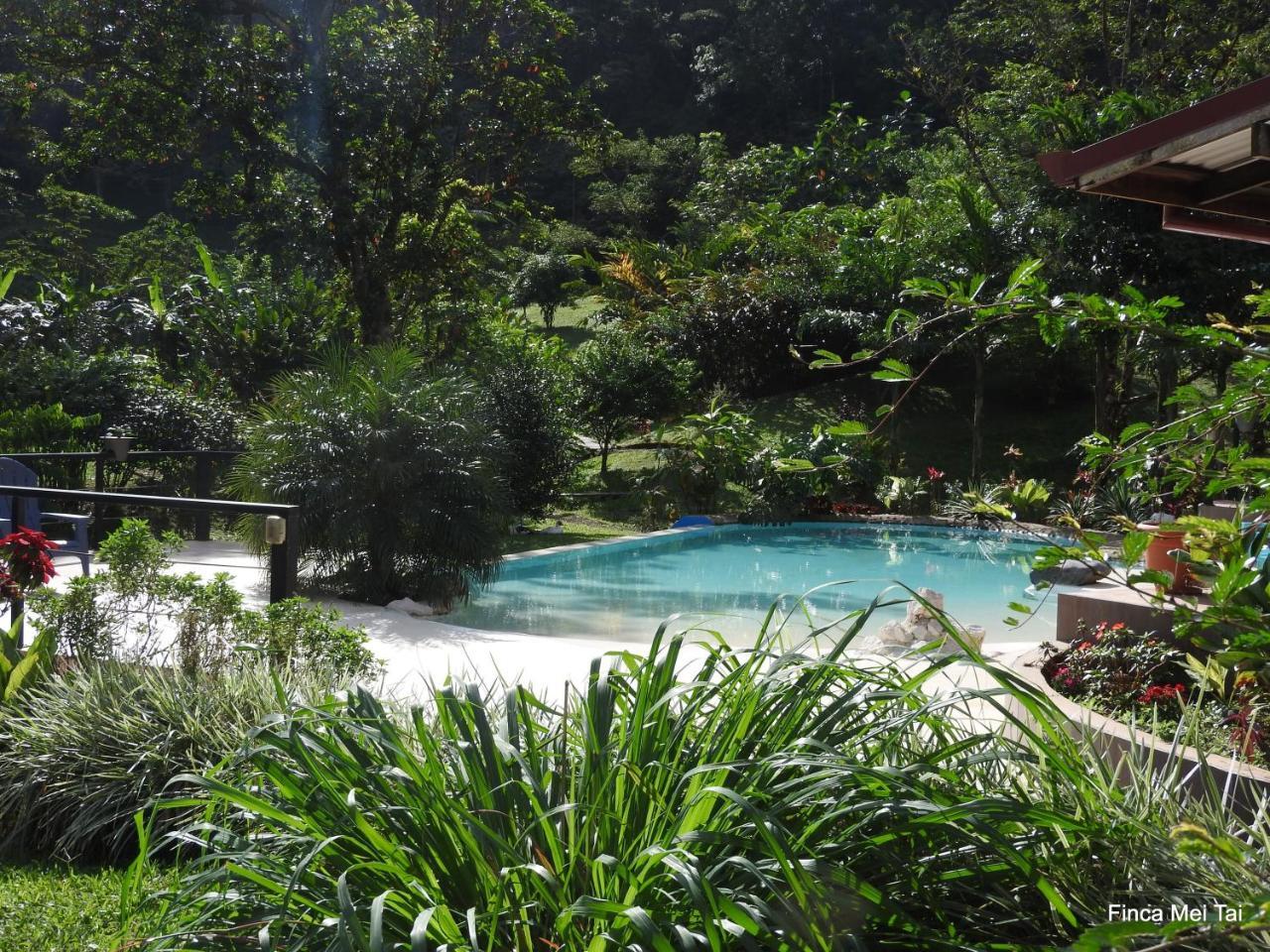 Mei Tai Cacao Lodge Bijagua Exteriör bild